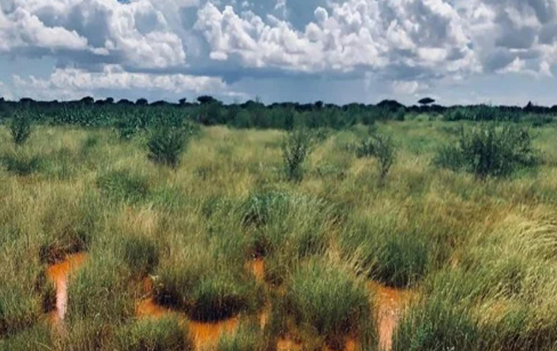 Component 2: Sustainable Development of Natural Resources